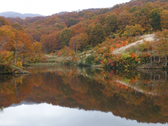 大厳寺高原のため池からの紅葉、美しい！