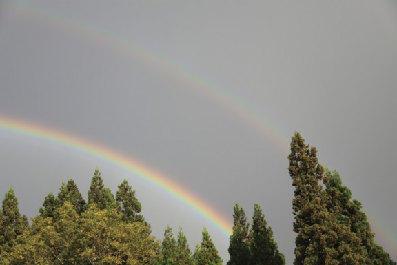 ハッキリと２重の虹が確認できますが、外の虹は薄いですね。