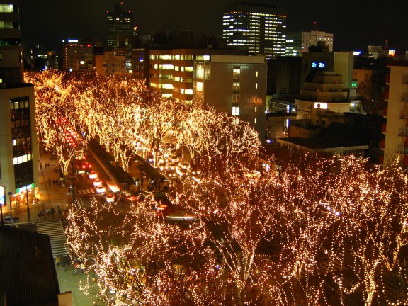 View of Sendai Pageant of Starlight from Sendai Mediatheque(2008)