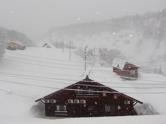 今朝の松之山。雪は降っていますが、そろそろ晴れ間が出ると期待しています。