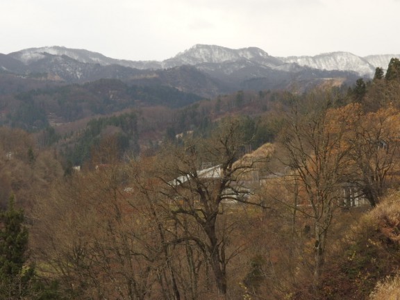 松之山も標高の高いところが白くなりました。