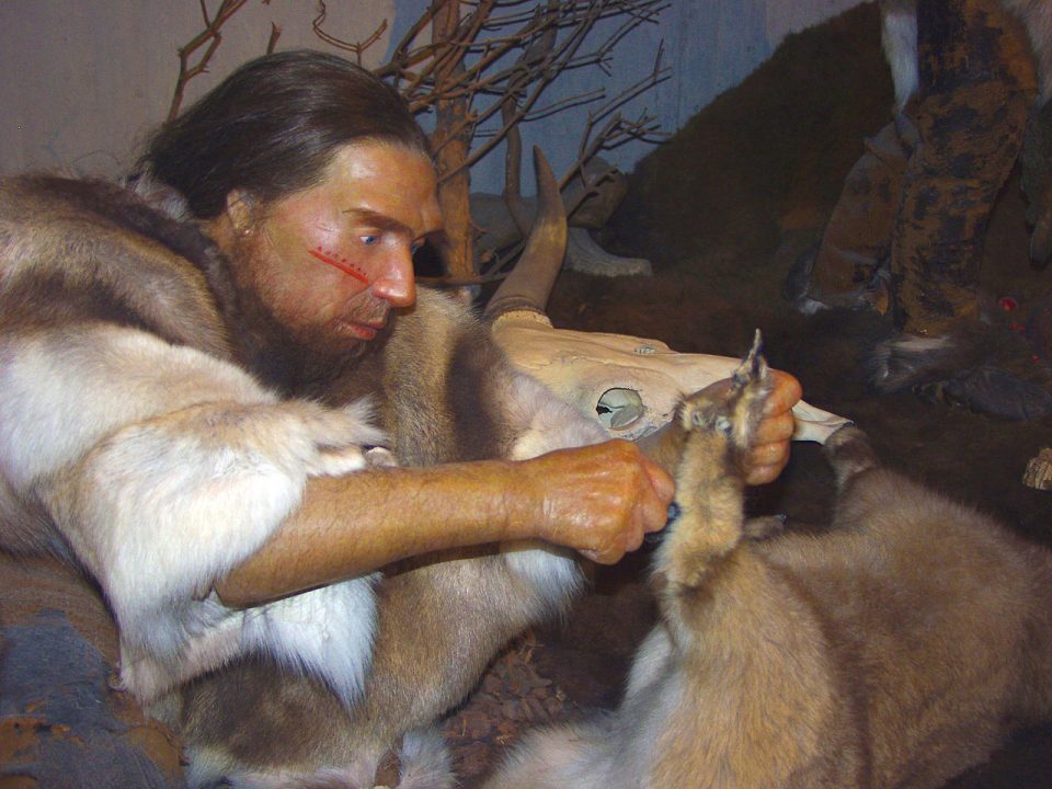 neandertaler-im-museum
