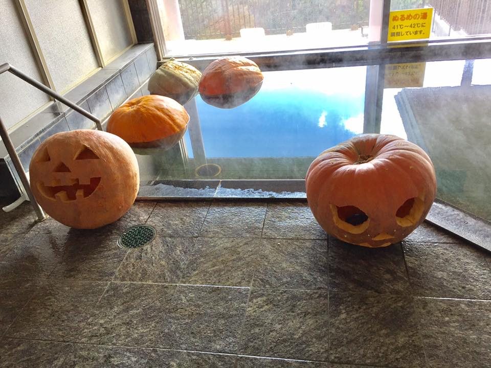 14729231_549676975226491_1659674689723039244_n